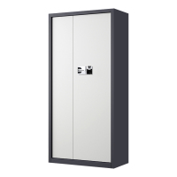 阿拉贡指纹电子保密柜钢制密码文件柜档案柜办公柜矮柜保密资料柜通门灰白色:国保指纹锁