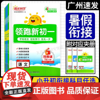 2025秋季新版阳光同学 领跑新初一 语文数学英语小四门人教版RJ北师版 小升初七年级上册六升七暑假作业衔接教材预习初中