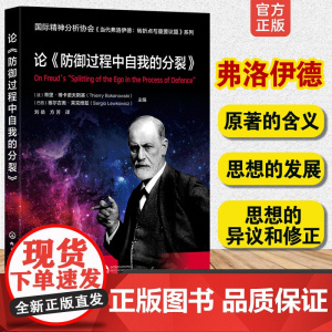 论《防御过程中自我的分裂》国际精神分析协会 当代弗洛伊德 转折点与重要议题系列 心理健康抑郁焦虑童俊 IPA精神分析师