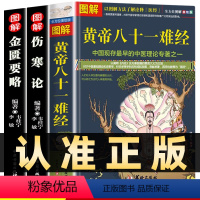 [正版]全3册图解黄帝八十一难经+伤寒论金匮要略中医四大经典名著中医基础入门理论养生健康偏方秘方书籍