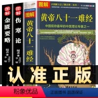 [正版]全3册图解黄帝八十一难经+伤寒论金匮要略中医四大经典名著中医基础入门理论养生健康偏方秘方书籍