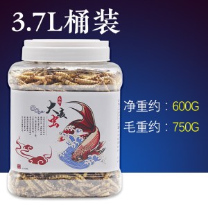 龙鱼饲料金龙银龙鱼专用鱼食罗汉鱼鱼粮面包虫大麦虫地图锦鲤饲料