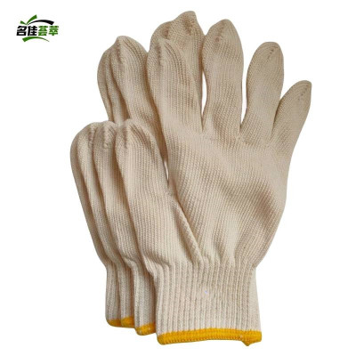 名佳荟萃 线手套 L-22 双