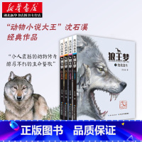 [正版] 沈石溪狼王梦全套4册 课外书 六年级 动物小说全集 课外阅读书籍四五 漫画版 沈石溪的书全系列6-8-12-