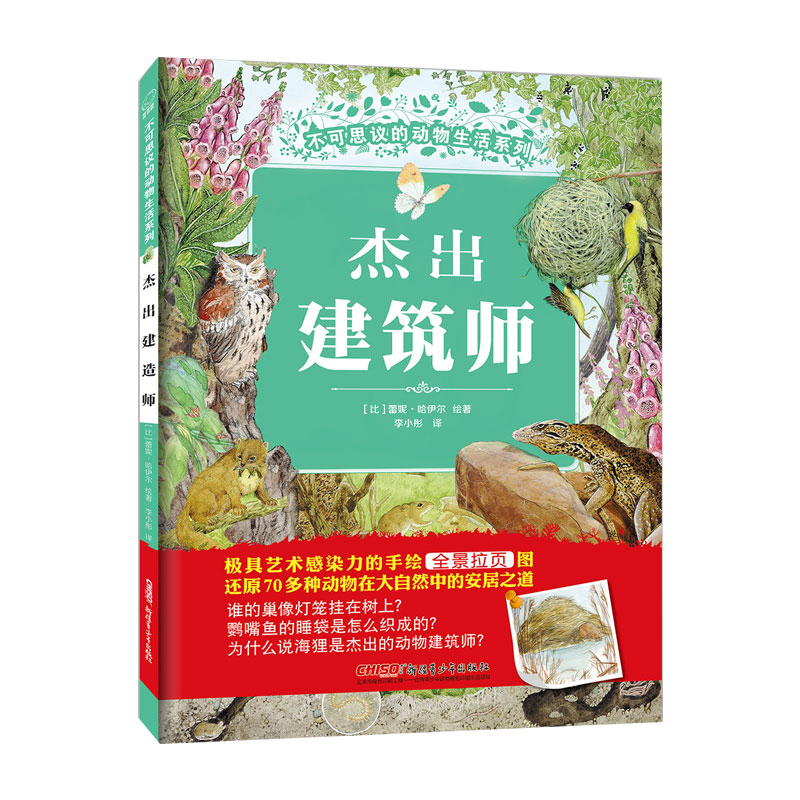 音像杰出建筑师(比)蕾妮·哈伊尔 绘著;李小彤 译