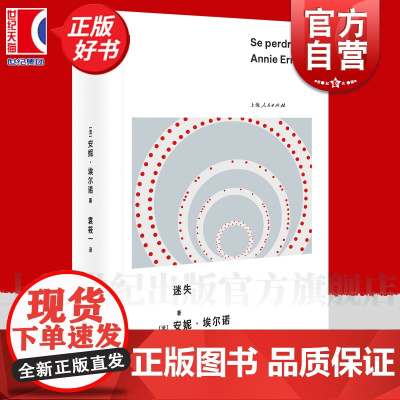 迷失 安妮埃尔诺作品第三辑上海人民出版社社会外国文学记忆社会学埃尔诺诺贝尔文学奖女性主义小说