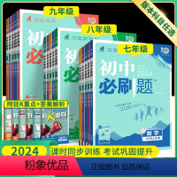 ⭐对应年级全套-人教版 八年级下 [正版]2024初中七下八九年级下册上册数学英语物理化学生物地理语文全套人教版初一三初