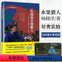 [正版]东南亚水果猎人水果传不乖书生杨晓洋科普水果百科全书籍大全实拍图品种分类新鲜热带泰国东南亚水果营养菜谱减肥餐