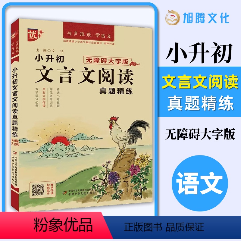 小升初文言文阅读 小学升初中 [正版]优++小升初文言文阅读真题精练 三3四4五5六6年级文言文起步大全集书启蒙读本 小
