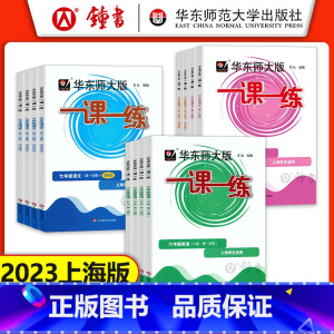 [3册]语数英 普通版 六年级下 [正版]2023华东师大版一课一练六年级上七年级上册八九年级物理 语文数学英语化学普通