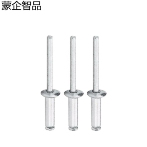 蒙企智品 不锈钢抽芯铆钉 5×20 个