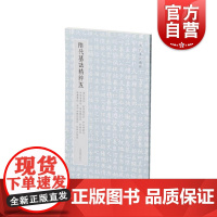 隋代墓志精粹五梁衍长孙懿宇文穆田保洛陈叔兴杜琳杜粲普六如徽之长孙汪 本社编上海书画出版社精选书法资料鉴赏