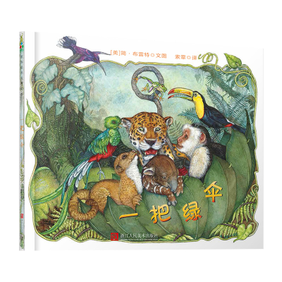 醉染图书一把绿伞9787534067181