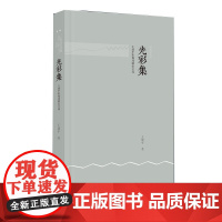 光彩集/王建平影视戏剧论文选