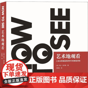 艺术地观看 (美)乔治·尼尔森(George Nelson) 著 王若地 译 艺术设计