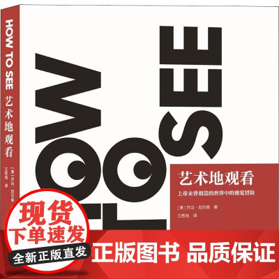 艺术地观看 (美)乔治·尼尔森(George Nelson) 著 王若地 译 艺术设计