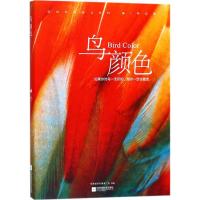 正版新书]鸟颜色东莞城市形象推广办9787559411877