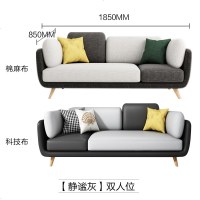北欧布艺沙发小户型客厅现代简约科技布轻奢网红款ins三人沙发