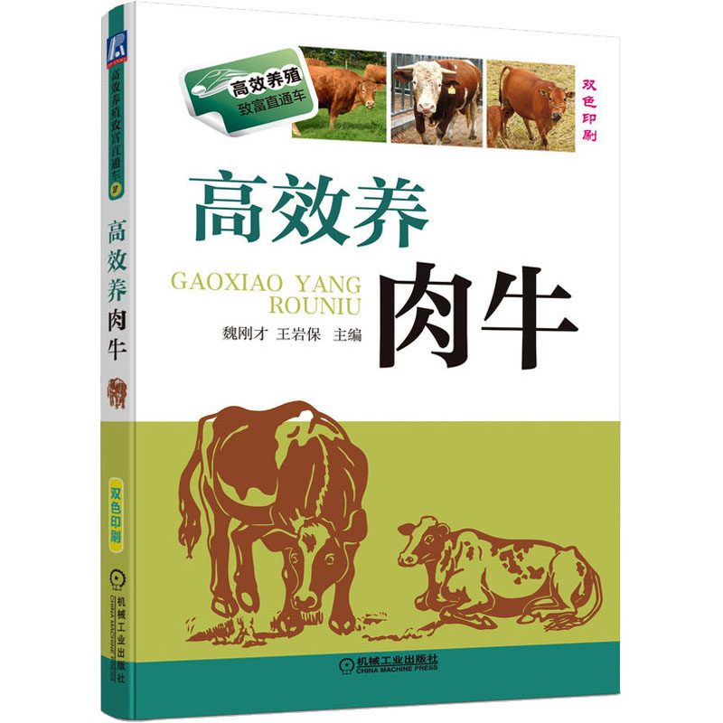 醉染图书高效养肉牛9787111483755