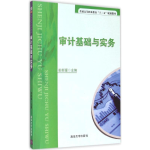 醉染图书审计基础与实务978730353