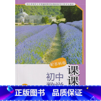 [正版]2022 初中数学课课练数学初三9年级上册九年级上册苏科版配江苏版江苏教版译林出版社(不含配套试卷)