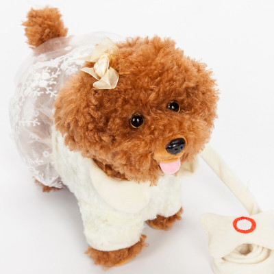 儿童电动毛绒玩具狗狗会唱歌会叫电子机器狗仿真泰迪牵绳走路小狗12345岁男孩女孩玩具米色花边充电版72首歌+