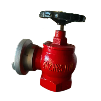 济俊 三型旋转减压稳压室内消火栓 SNZW65-III DN65 /台