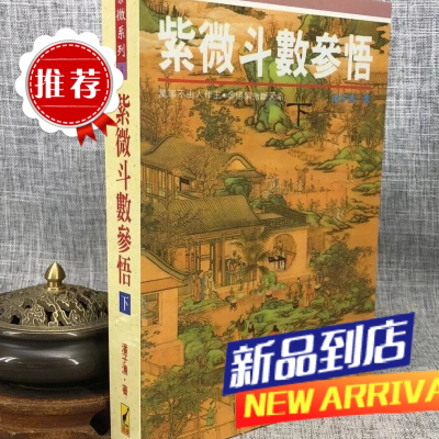 紫微斗数参悟(下) 潘子渔 武陵
