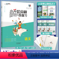 [正版]一飞冲天小升初语文全程暑假衔接总复习小学升初中六年级毕业升学考试真题模拟预测试卷语文古诗词文言文暑假作业阅读理