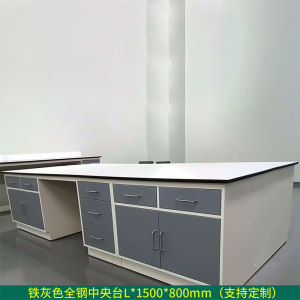东升顺全钢实验台钢木PP边台柜试验台化验室工作台实验室桌操作台定制(每米单价)