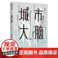 城市大脑