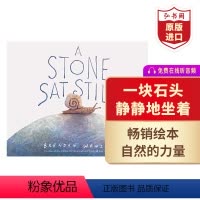 [正版]一动不动的石头 一块石头静静地坐着 英文原版绘本 A Stone Sat Still Brendan Wenz