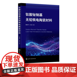 钛酸铋钠基无铅铁电陶瓷材料 NBT基陶瓷在压电性能 电卡效应与储能性能 应变性能及电致伸缩效应 铁电材料材料研究人员使用