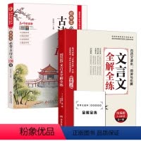 必背古诗文+文言文全解 [正版]2024初中文言文全解全练一本通人教版译注与赏析初中生必背古诗词138篇和古诗文小升初初