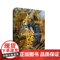剑齿虎 Sabertooth 史前生命丛书 古生物学普及读物 彩图精装 华东师范大学出版社