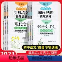 ❤2本[7年级-语文]文言文+现代文·人教版 初中通用 [正版]周计划初中专项训练七八九年级高效训练初一二三语文基础知识