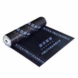 盛京联硕 SBS改性沥青防水卷材 3.0mm/10m -25度 卷
