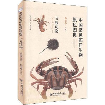 正版新书]中国常见海洋生物原色图典 节肢动物《七彩思维》编委