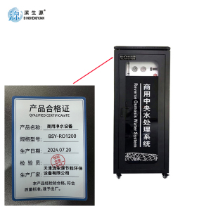 滨生源商用净水设备制水量250升外置150L压力桶黑金刚BSY-RO1200(台)