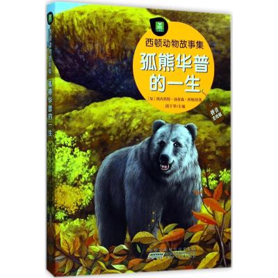 孤熊华普的一生