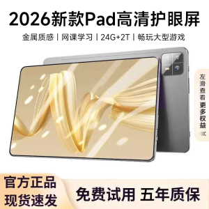 新三星官 2026款12英寸平板电脑 烟狼灰24+1TB 满血版十核X35芯片 4K超清护眼5G全网通娱乐办公学习网课二合一插卡通话