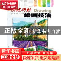 正版 快速巧妙绘画技法 [英]迈克尔·桑德斯[MichaelSanders]著 中