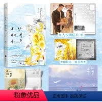 [正版]余量特签版 有个人暗恋我十一年 银八 新增番外 青春文学青春暗恋虐文爱情BE言情小说书籍 小说