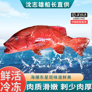沈志雄 船长 福建东山岛澳角村海鲜海捕东星斑年货礼包年货年夜饭送礼