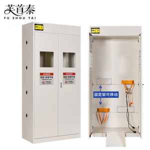 芙首泰气瓶柜双瓶二代报警器900*450*1900mm台