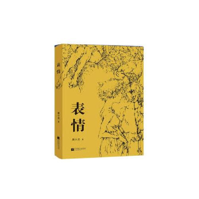 正版新书]表情黄小龙9787559423764