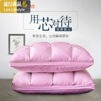 单人枕头枕芯男一只装鹅绒枕头星级酒店羽绒枕芯棉鸭绒枕头一对 三维工匠