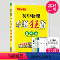 巅峰版 物理 苏科 九年级下 [正版]2024初中物理小题狂做巅峰版九年级下册物理九下苏科版SK苏教版中学教辅江苏9年级