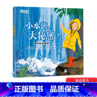 [正版]小水滴大秘密精装绘本图画书一本贴近生活知识含量丰富的科普绘本了解水循环适合3岁以上童书