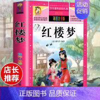 [选3本29.8元]红楼梦 [正版]格林童话全集安徒生童话注音版 伊索寓言一千零一夜一二三年级1-3小学生上册阅读课外书